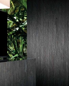 Titanium Slate Black Porcelain Tile for Wall Cladding Detail