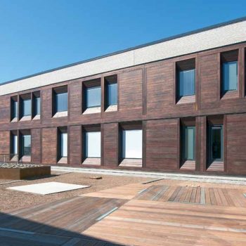 Thermally Modified Ash 1 x 6 Cladding in Hospital Facade - HDG Building Materials