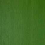 Trugrain Resysta decking siding and interior Color FVG C60062 Apple Green
