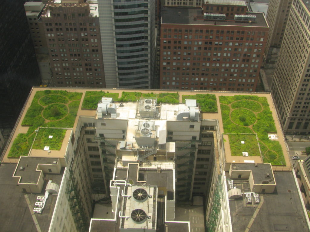 Green Roofs at Chicago City Hall - HDG Building Materials