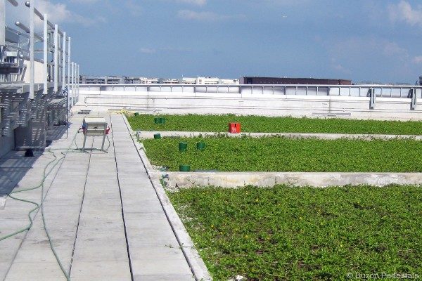 Eco-roof with Vegetated Sections - Buzon Pedestals and Pavers - HDG Building Materials