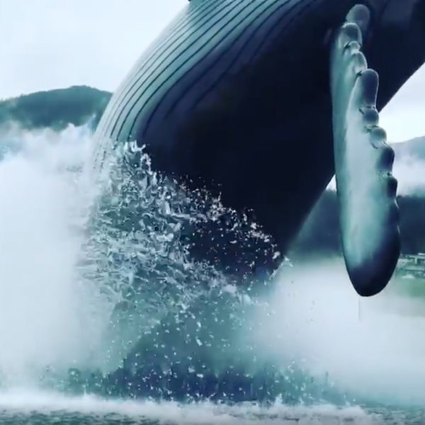 Realistic Humpback Whale Breach