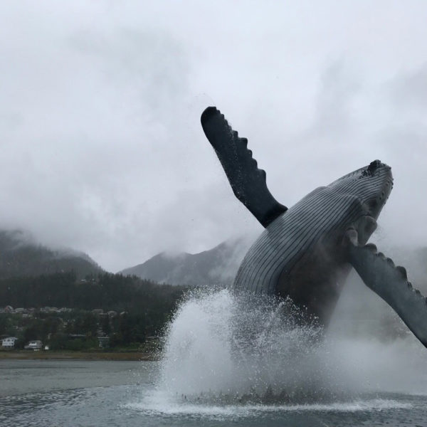 Breaching Humpback Whale Sculpture