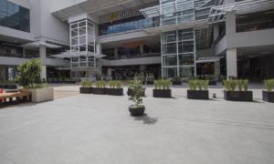 HDG Pamplona Porcelain Paver in Pedestrian Plaza - HDG Building Materials