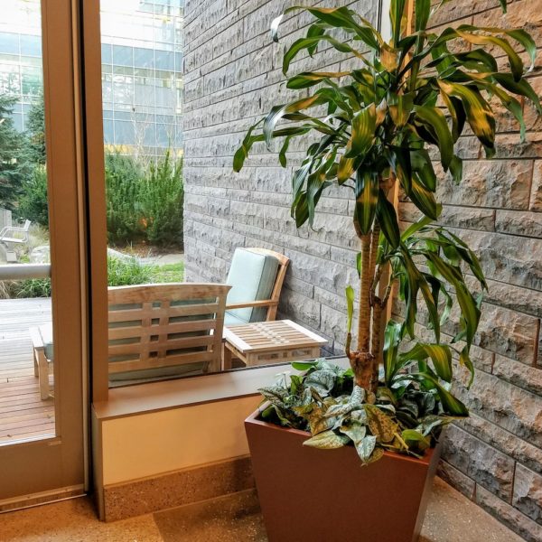 HDG Turtleshell Limestone Transition from Inside to Outside - HDG Building Materials