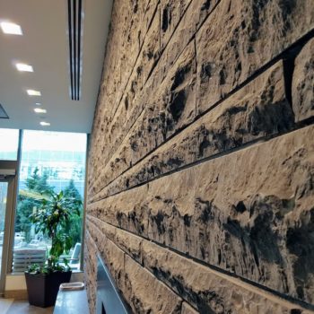 Mushroom Finish HDG Turtleshell Limestone Closeup - HDG Building Materials