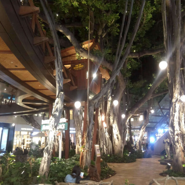 Banyan Trees Feature Don the Beachcomber Tiki Bar in Hawaii