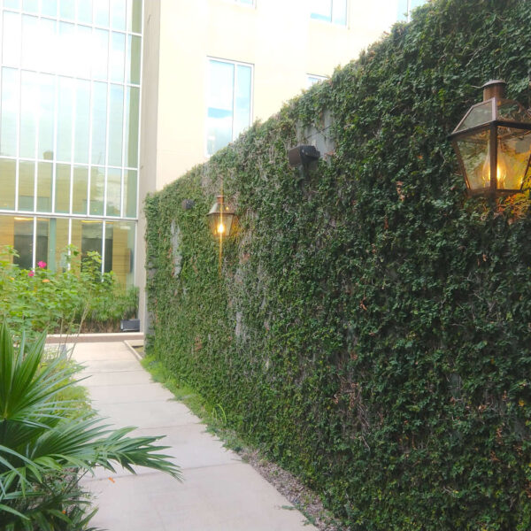Green Wall and Porous Concrete in Courtyard at New Orleans Bioinnovation Center