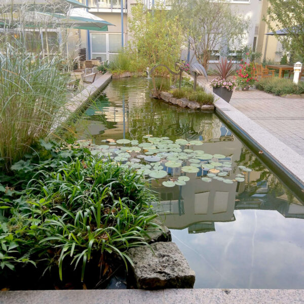 Nature Filled Courtyard at Senior Center Improves Quality of Life
