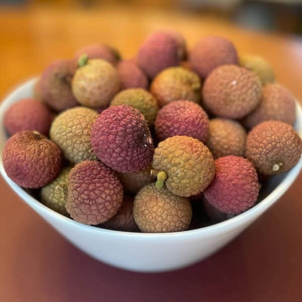 Bowl of Lychee Fruit Has Skin Like the Lychee Stone Finish