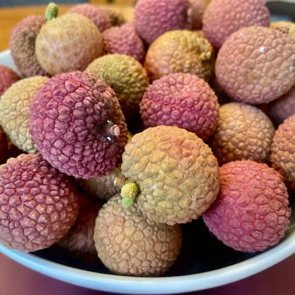 Bowl of Lychees Serves as Inspiration for Lychee Finished Stone