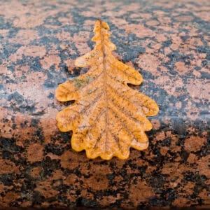 Natural Granite Stone with Polished Finish and a Leaf for Contrast