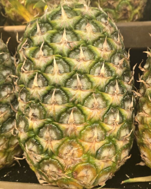 Natural pineapple with texture that inspires the pineapple stone finish.