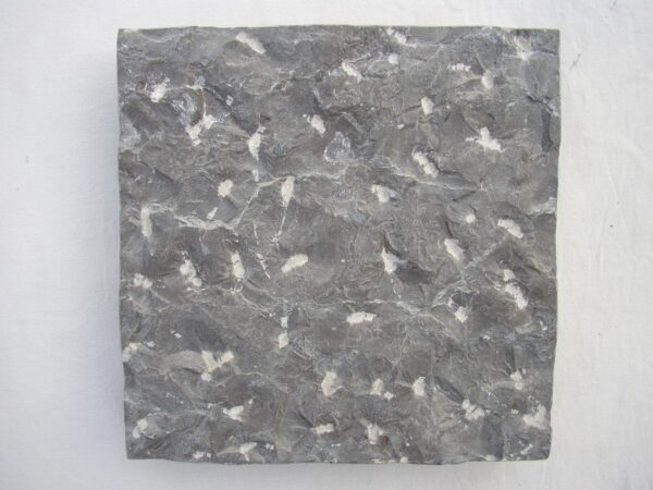 Limestone varieties like Turtleshell bring warmth and subtle movement to the pineapple stone finish, emphasizing its natural character.