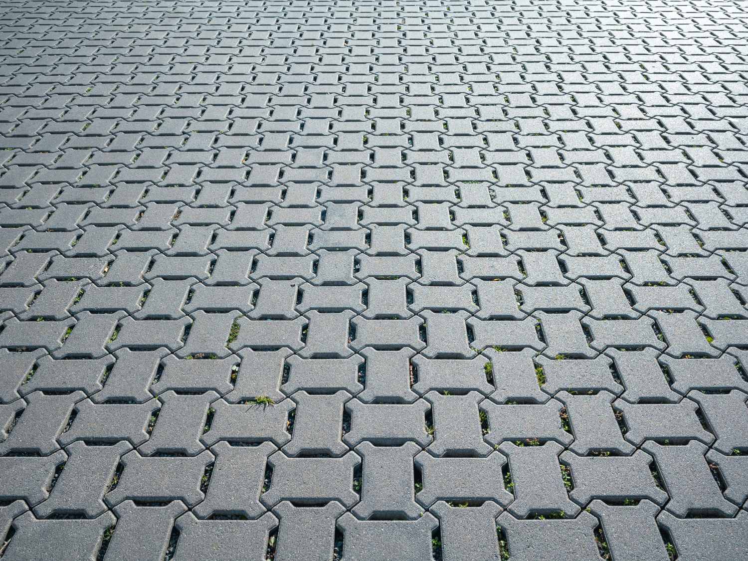 Permeable paver that allows water to pass through.